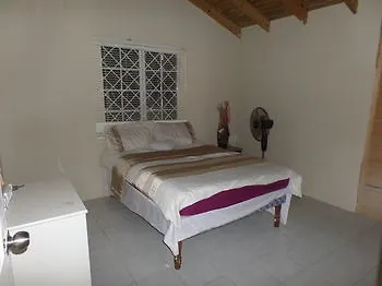 Hotel Little Cottage Of Rose Hall Montego Bay